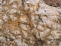 fotó a villányi ammoniteszes padról