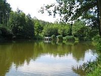 Szalamandra-tó