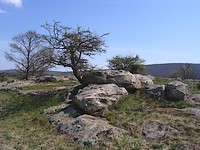 fotó a kővágóörsi kőtengerről